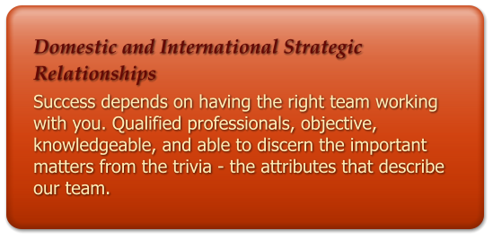 Domestic and International Strategic Relationships  Success depends on having the right team working with you. Qualified professionals, objective, knowledgeable, and able to discern the important matters from the trivia - the attributes that describe our team.